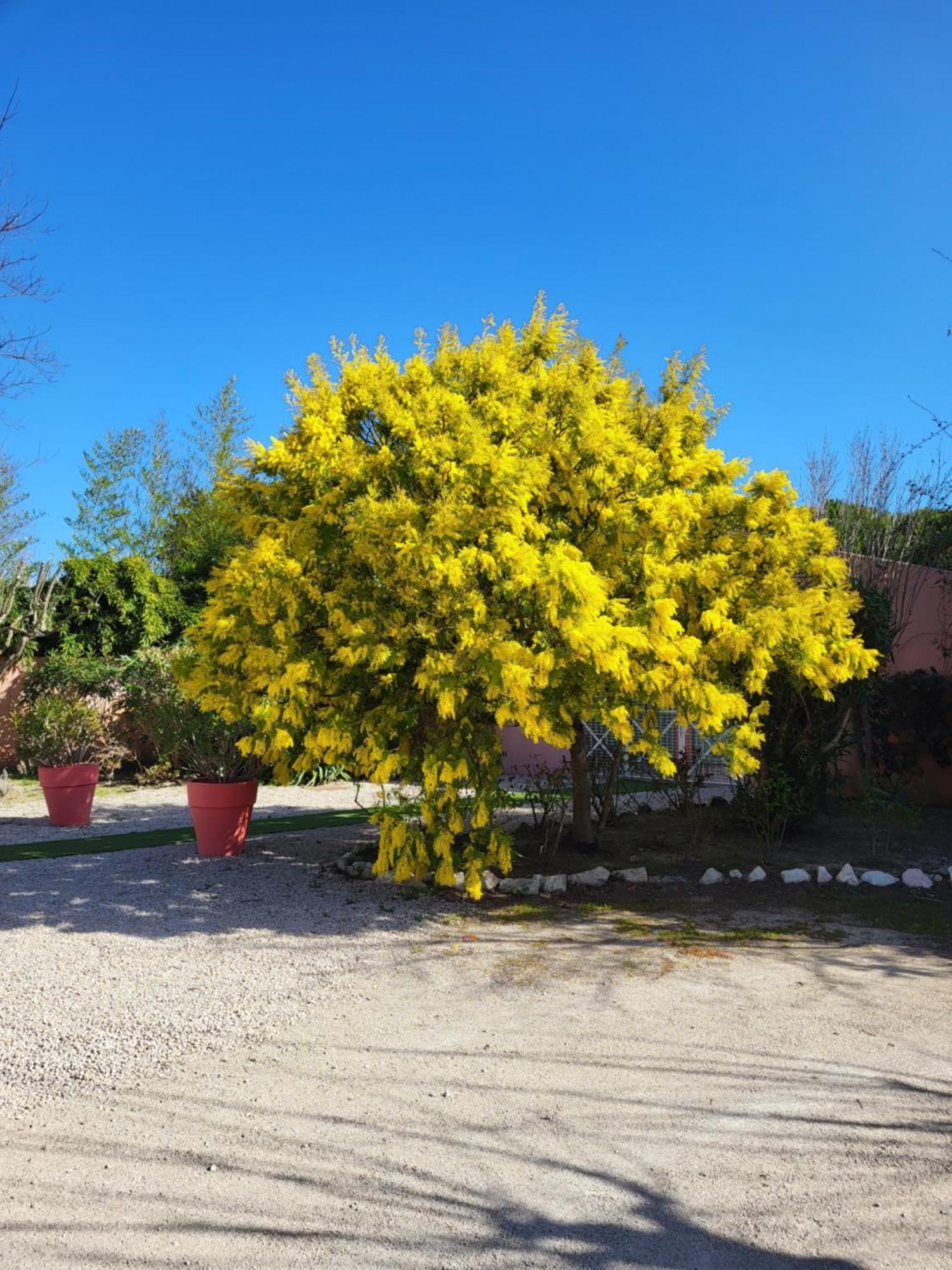 Logis Hotel La Ferme Avignon Buitenkant foto