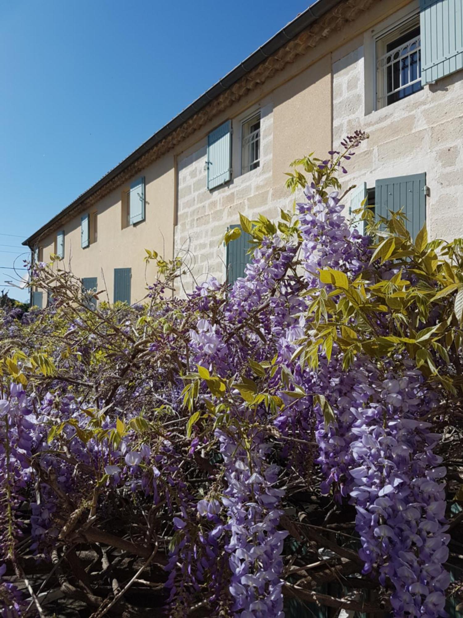 Logis Hotel La Ferme Avignon Buitenkant foto